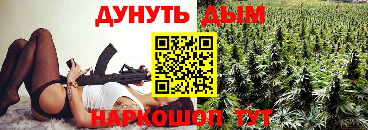 Бердск  Бошки Шишки планчик  Вход с VPN  Марихуана сатива 